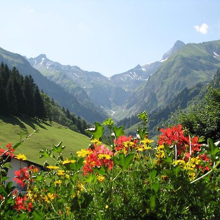 Ferienparadies Spielmannsau Oberstdorf Buitenkant foto