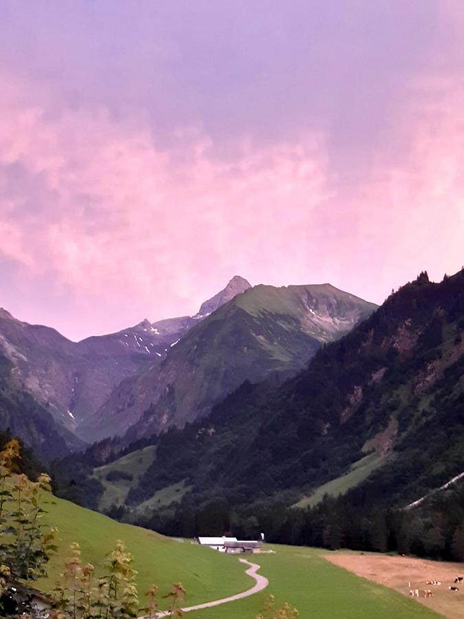 Ferienparadies Spielmannsau Oberstdorf Buitenkant foto