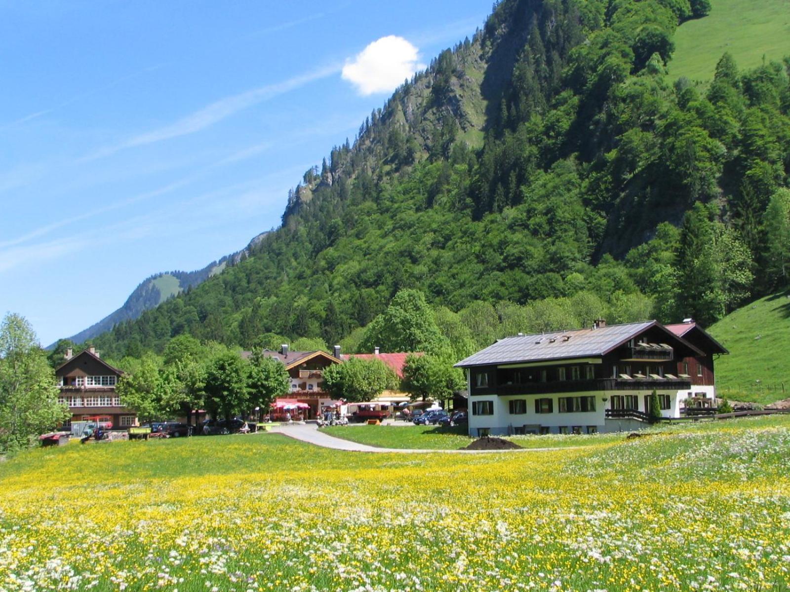 Ferienparadies Spielmannsau Oberstdorf Buitenkant foto