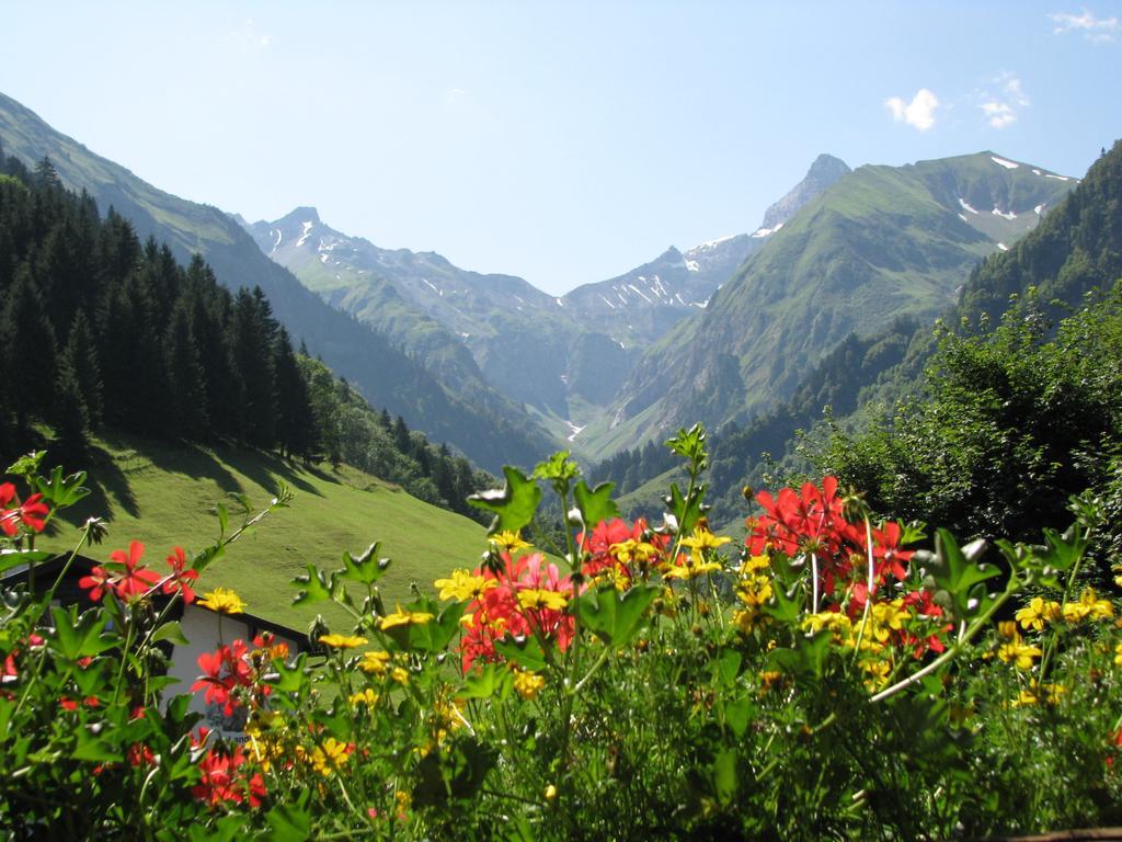 Ferienparadies Spielmannsau Oberstdorf Buitenkant foto
